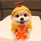 Cute Fruit Dog Clothes For Small Dogs Hoodies