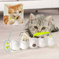 Caterpillar Interactive Cat Toy