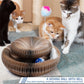 Pet Accordion Scratch Toy