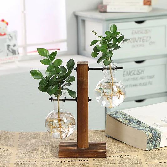 Hydroponic Glass Plant Vase