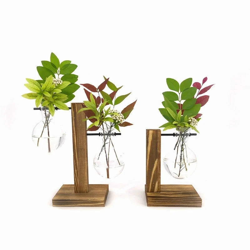 Hydroponic Glass Plant Vase