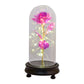 24k Gold-plated Rose Flower Glass Cover