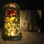 24k Gold-plated Rose Flower Glass Cover